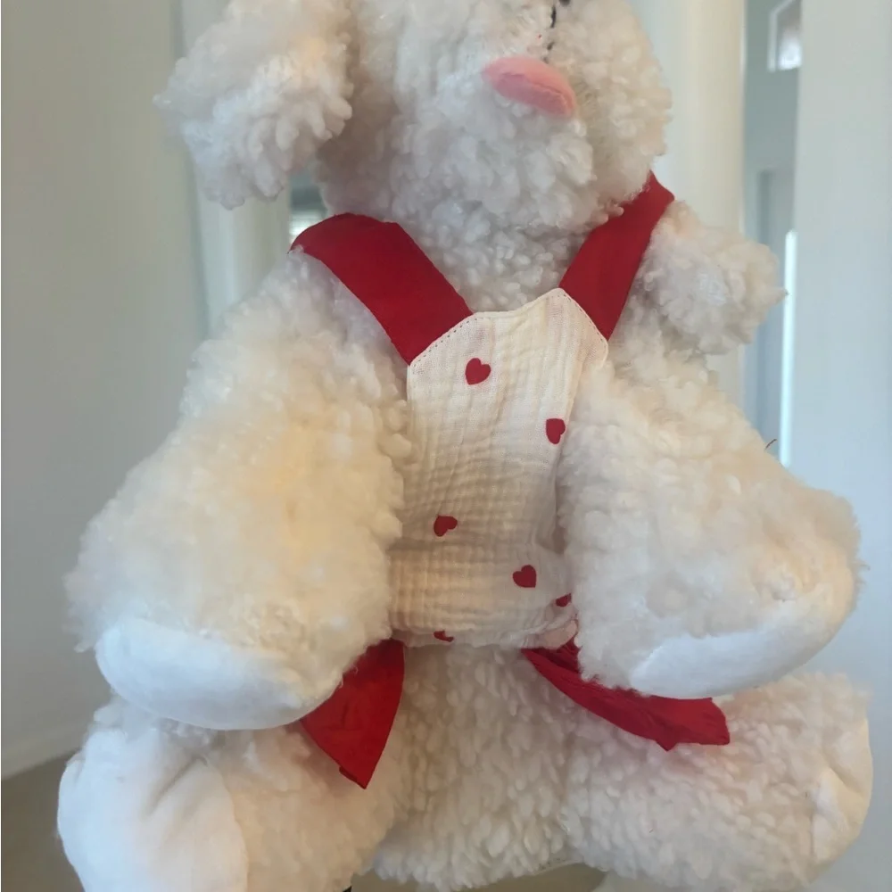Red and White Heart Dog Dress